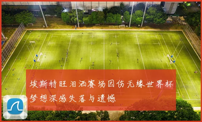 埃斯特旺泪洒赛场因伤无缘世界杯梦想深感失落与遗憾